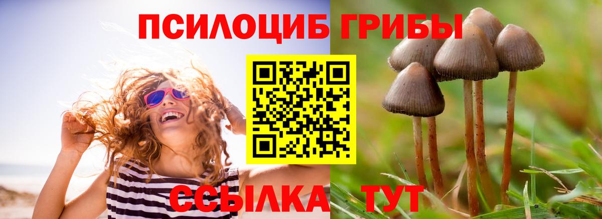 Псилоцибиновые грибы Magic Shrooms Нурлат